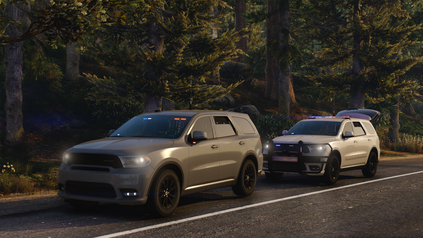 2019 Pursuit SUV K9